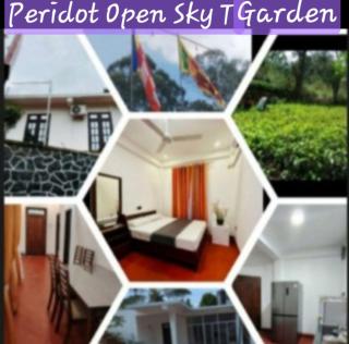 Peridot Open Sky T Garden - 6