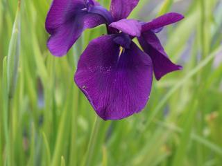 Hôtel ibis Guingamp Cœur de Bretagne - 1