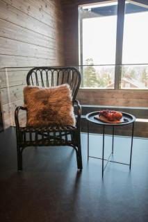 Cottage Finland - Villa Aspen C - 2