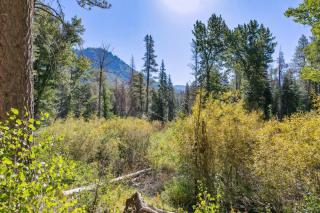 Play in the Pines Hot Tub Playground Firepit - 3