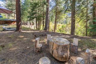 Play in the Pines Hot Tub Playground Firepit - 1