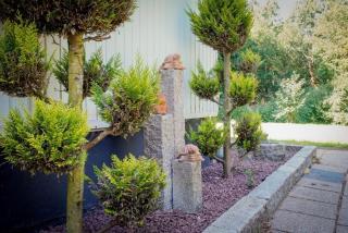 Fichtenrauschen - Goslar - 5