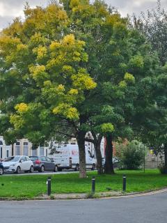 Central location - 4