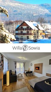Willa Sowia nowe apartamenty z pięknym widokiem na góry i potok - 9