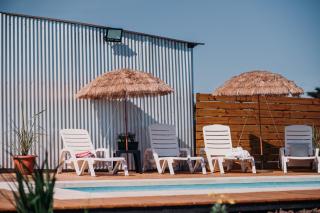 Entre Palmeras y Lavandas - 2