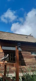 A rustic-style cabin on the wetland - 7