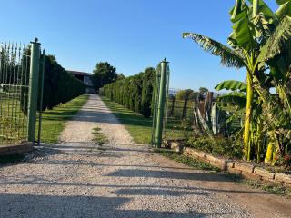 Agriturismo Corte Bonetti - Appartamento i Cipressi - 9