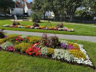 Sussi`s Guesthouse - 1