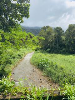 Sara's HomeStay Munnar Kerala - 5