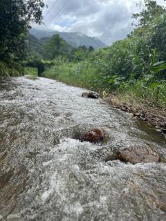 Sara's HomeStay Munnar Kerala - 7