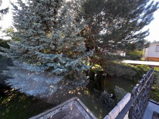 Danube Gardens - 9