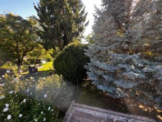 Danube Gardens - 8