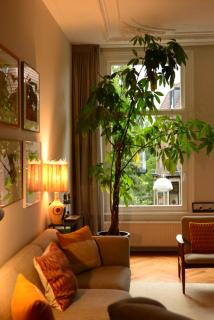 Entire home with direct Vondelpark view - 6