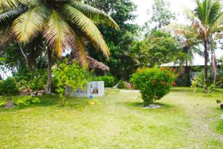 Le jardin secrète - 3