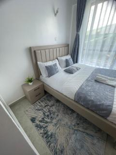 Cosy One Bedroom In Lumumba Drive - 3