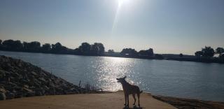 The Dry Docks - 4