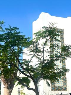 Casa Bougainvillea - Baja - 0