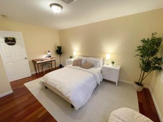 Modern Stylish 3 bed single house central Jersey - 9