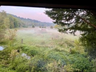 Lodge pleine nature - 4