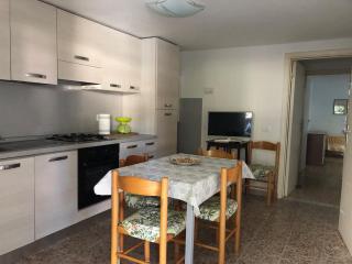 House in Castiglioncello - 7