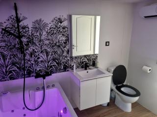 Appartement romantique à 5mn de la cathédrale d'Albi - 7