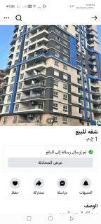 محمد نجيب الاسكندرية - 0