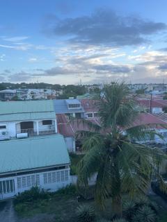 Charmant T3 - Raizet - 1