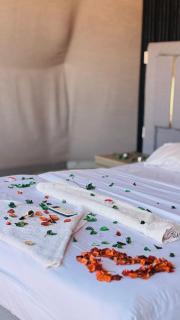 Buble tent luxury - 0