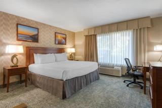 Best Western Seven Seas - 7