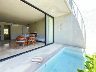 Private Pool New Jungle Apartment King Bed Wifi Selva 106 - 0