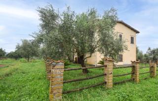 3 Bedroom Cozy Home In Vignanello - 5