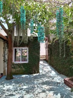 Casa Nance - 4