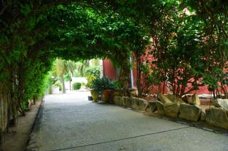 Chambres D'hôtes à louer Villa Luciana - 2