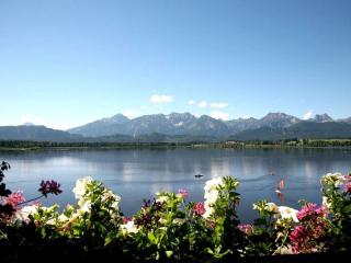 Country House Lake View - 9