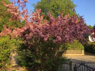 Long 4 stars with balcony - 1