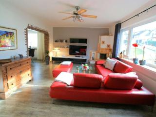Holiday home in Erbach with swimming pool - 7