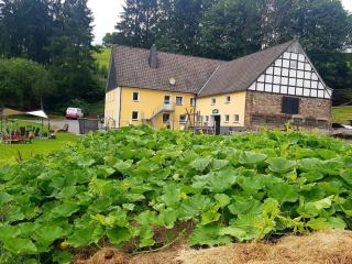 One-bedroom apartment - 2