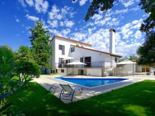 1-Bedroom Villa - 7