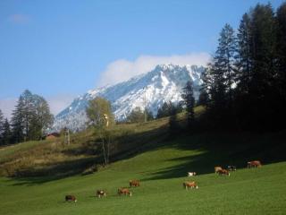 Längauer Alm - Haus Daniel - 8
