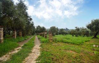 Awesome Home In Vignanello - 5
