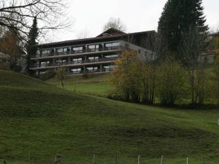 Holiday apartment in Oberstdorf with Wi-Fi - Jauchen - 8