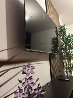 Purple Escape Balkon Netflix zentral - 8