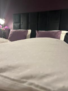 Purple Escape Balkon Netflix zentral - 2