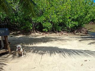 Tehuarupe Surf Studio 2 - 2