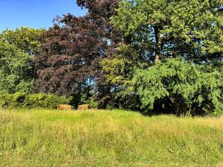 Bumblebee Cottage - Uk49210 - 8