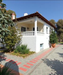 Villa Siesta gr - 7