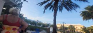 Palm Beach House - 6