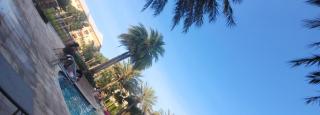 731HolydayPalmBeachHouseFrm99FourPrsMin2to3PrsPartyEachRoom - 3