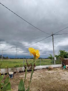 Saya & Awak Tiny House - 6