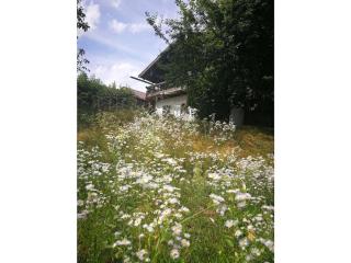 Holiday home in Grafling with sauna - 4